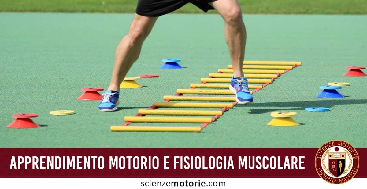 Persona che si allena con una scala di agilità su un campo verde, con coni colorati a terra. In basso testo "Apprendimento motorio e fisiologia muscolare" e logo di ScienzeMotorie.com in basso a destra.