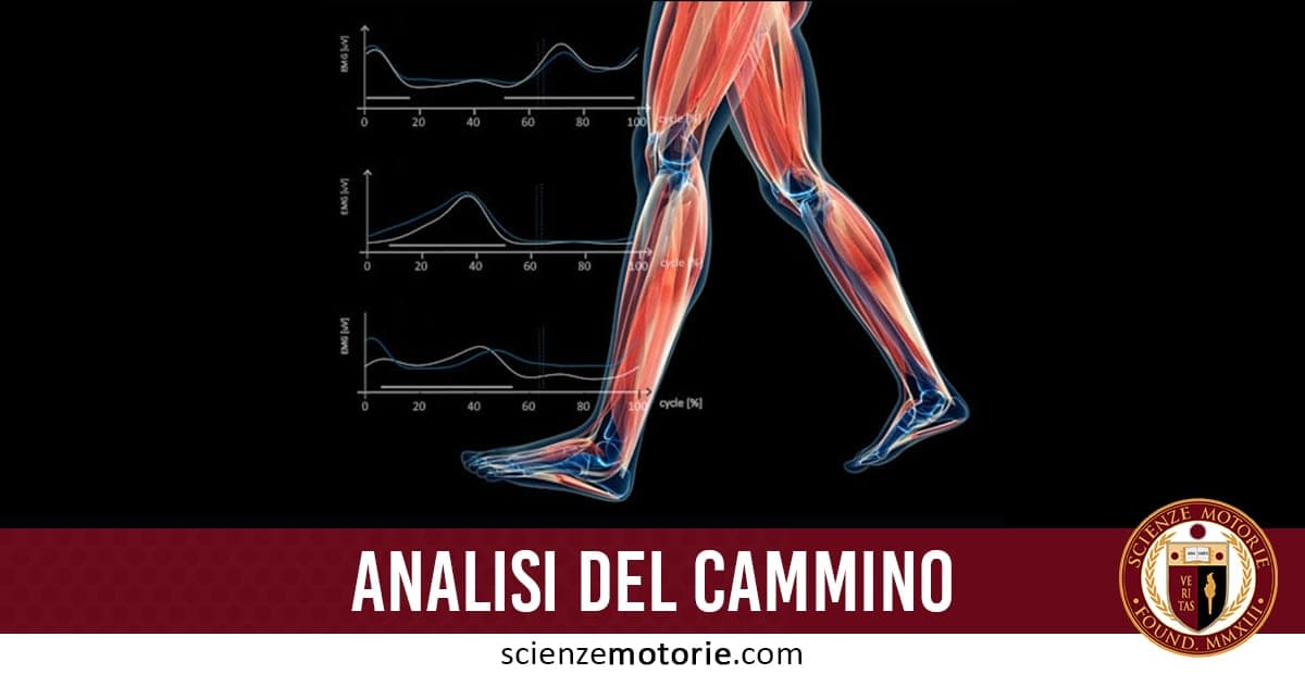 Analisi del Cammino – 1° Parte