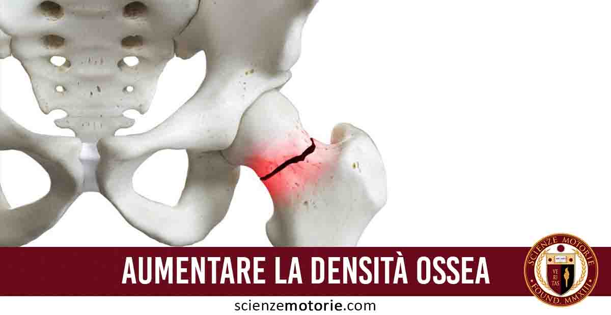 Aumentare la Densità Ossea grazie all’Esercizio Fisico