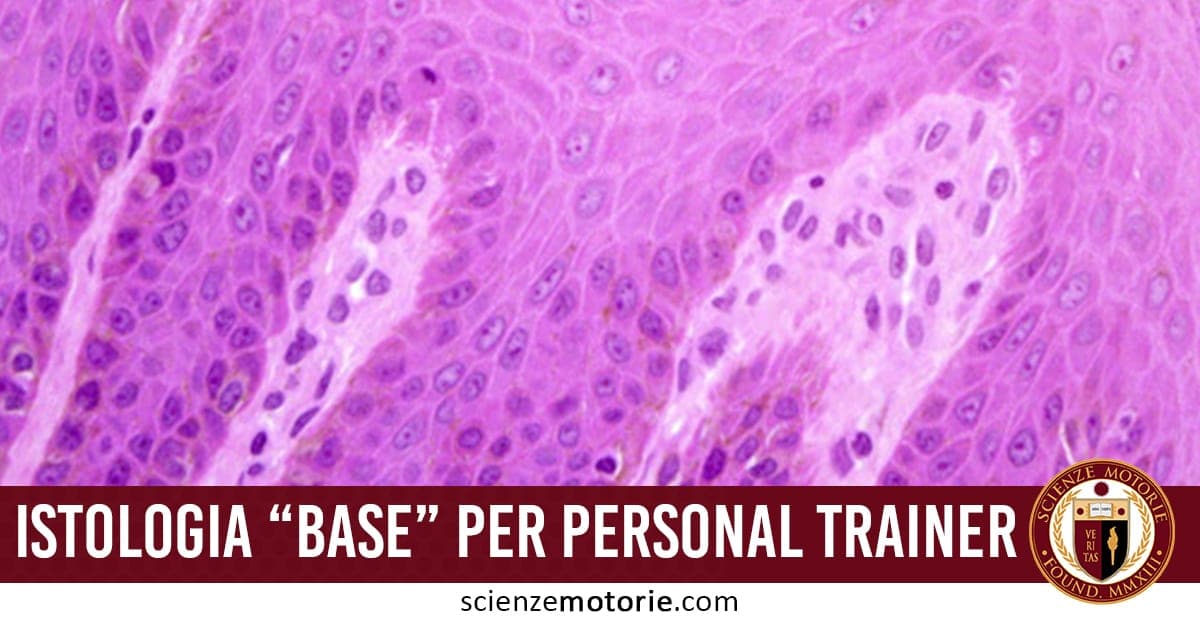 Istologia “BASE” per Personal Trainer.