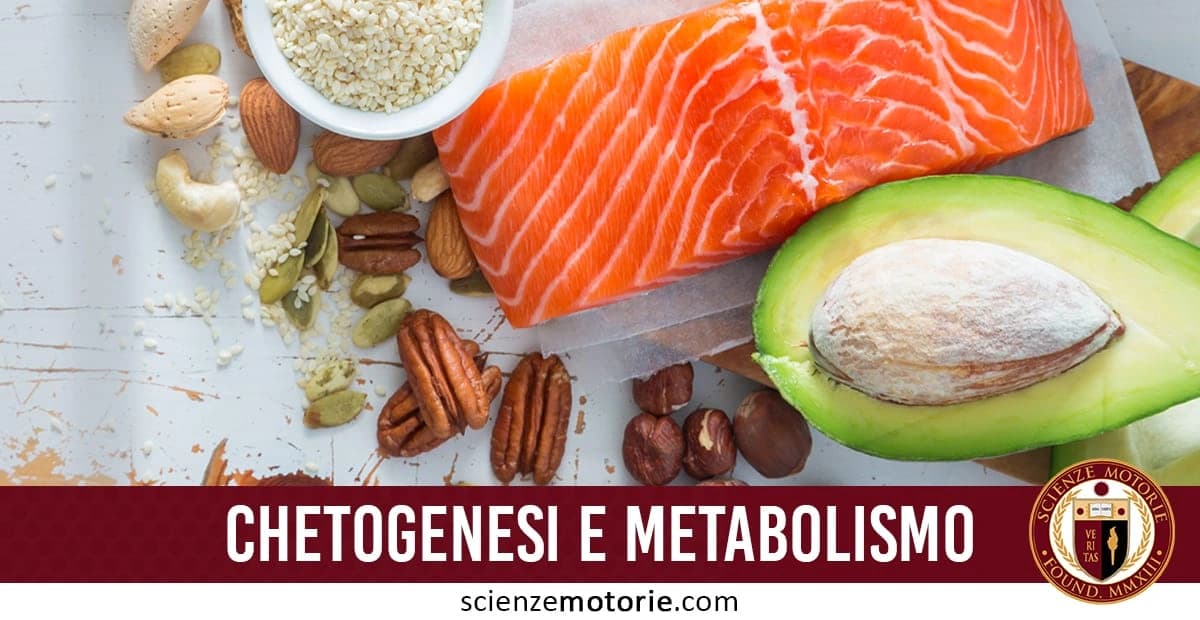 Alimenti ricchi di grassi sani su un tavolo: filetto di salmone, mezzo avocado, noci, mandorle, semi di zucca e sesamo, con la scritta "CHETOGENESI E METABOLISMO".