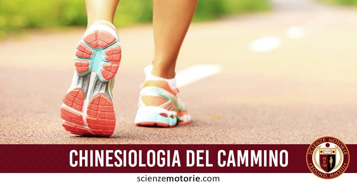 L’immagine ritrae le gambe di una persona mentre cammina su un sentiero, rappresentando l’analisi chinesiologica del cammino. Con scarpe da ginnastica colorate in primo piano, il visual enfatizza l’importanza dello studio del passo e della biomeccanica nella chinesiologia. Sul fondo compaiono logo e link del portale Scienze Motorie.