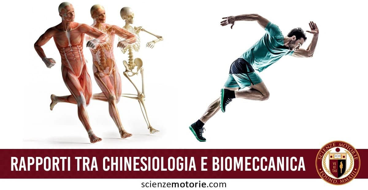 L'immagine mostra una rappresentazione anatomica del corpo umano con muscoli e scheletro a sinistra, mentre a destra si vede un corridore in azione. Questa illustrazione mette in evidenza la relazione tra la chinesiologia e la biomeccanica, studiando come i muscoli e le ossa interagiscono durante il movimento umano, come nella corsa. Il testo "RAPPORTI TRA CHINESIOLOGIA E BIOMECCANICA" accompagnato dal logo "Scienze Motorie" enfatizza il focus su queste discipline