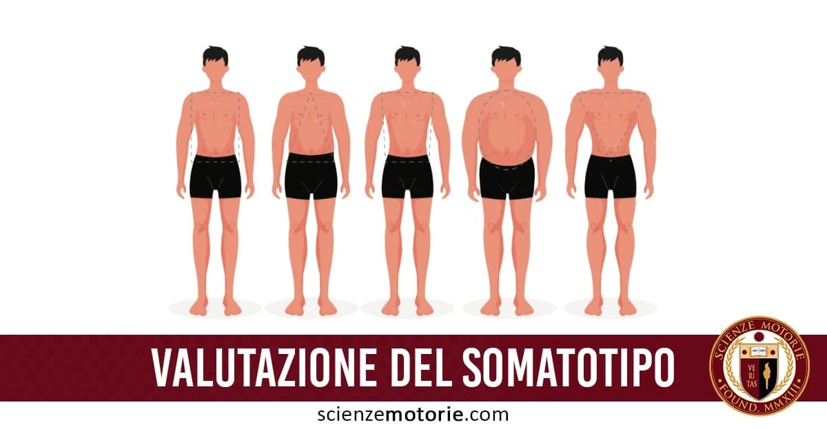 L'immagine mostra cinque figure maschili, ciascuna rappresentante un diverso somatotipo: ectomorfo, mesomorfo, e endomorfo. Le figure sono disposte una accanto all'altra, con variazioni nella massa muscolare e nel grasso corporeo. In basso c'è il testo "Valutazione del somatotipo" e un logo di "Scienze Motorie".