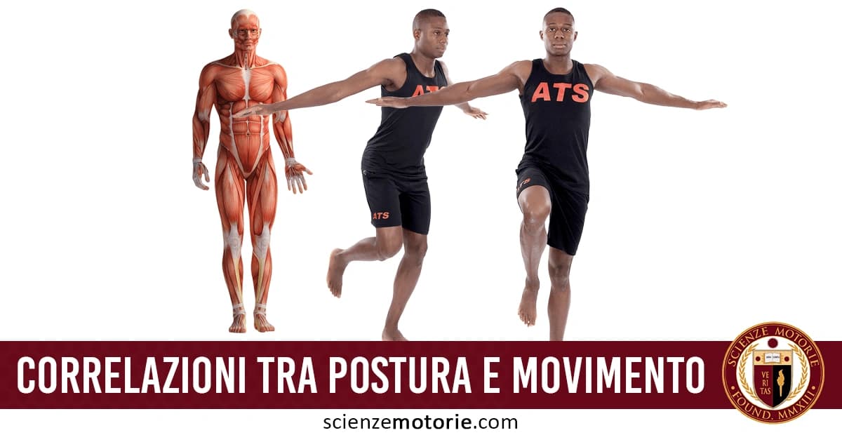 Confronto tra modello anatomico dei muscoli e persona che esegue un esercizio di equilibrio con maglietta con il logo di Istituto ATS. Nella parte bassa dell'immagine appare la scritta "Correlazioni tra postura e movimento" assieme al logo di Scienze Motorie