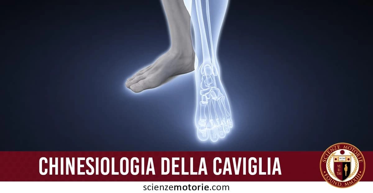 L'immagine presenta una rappresentazione stilizzata con effetto radiografico di un piede e di una caviglia umana, in cui risalta la struttura ossea. Il titolo in basso, "CHINESIOLOGIA DELLA CAVIGLIA", suggerisce un approfondimento scientifico e didattico sul movimento e la biomeccanica di questa articolazione. Nell'angolo è presente il logo di ScienzeMotorie.com