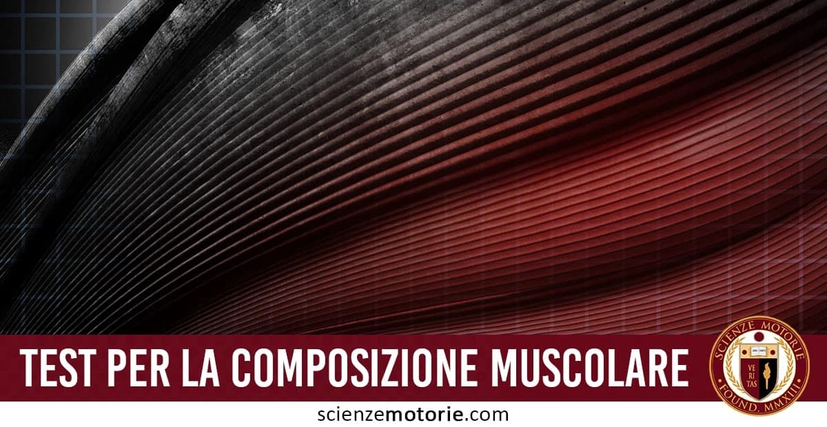 Rappresentazione stilizzata di fibre muscolari con striature orizzontali e fascia rossa con testo "Test per la Composizione Muscolare" in basso a destra è ben visibile anche il logo di ScienzeMotorie.com