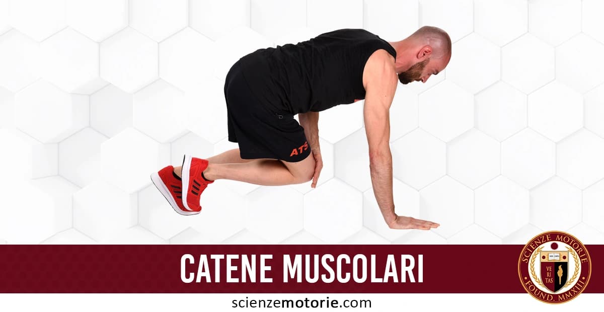 Persona in equilibrio durante esercizio fisico su una mano e un piede, indossa maglietta nera e scarpe rosse, con sfondo a esagoni e scritta catene muscolari. In basso a destra è presente il logo di Scienze Motorie