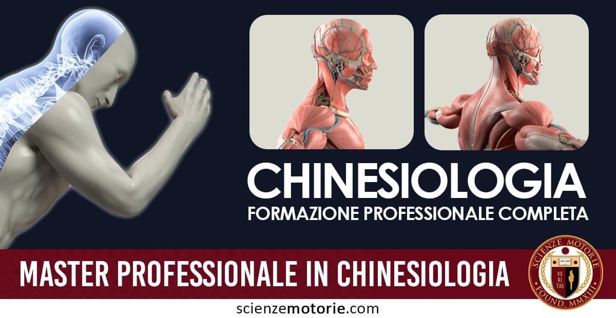 L’immagine visualizza un corpo umano stilizzato con evidenziati muscoli e ossa, utile per spiegare la struttura anatomica in un contesto di formazione professionale. A sinistra si vede una figura con la colonna vertebrale visibile, mentre a destra ci sono dettagli delle muscolature e dell'anatomia umana. Il testo centrale promuove il corso di "Master Professionale in Chinesiologia" e il logo di Scienze Motorie