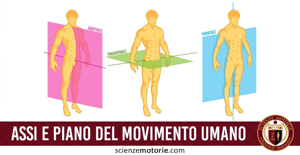 Illustrazione con tre figure umane che mostrano i piani del movimento umano: sagittale, trasversale e frontale, con testo "Assi e piano del movimento umano" e logo Scienze Motorie.