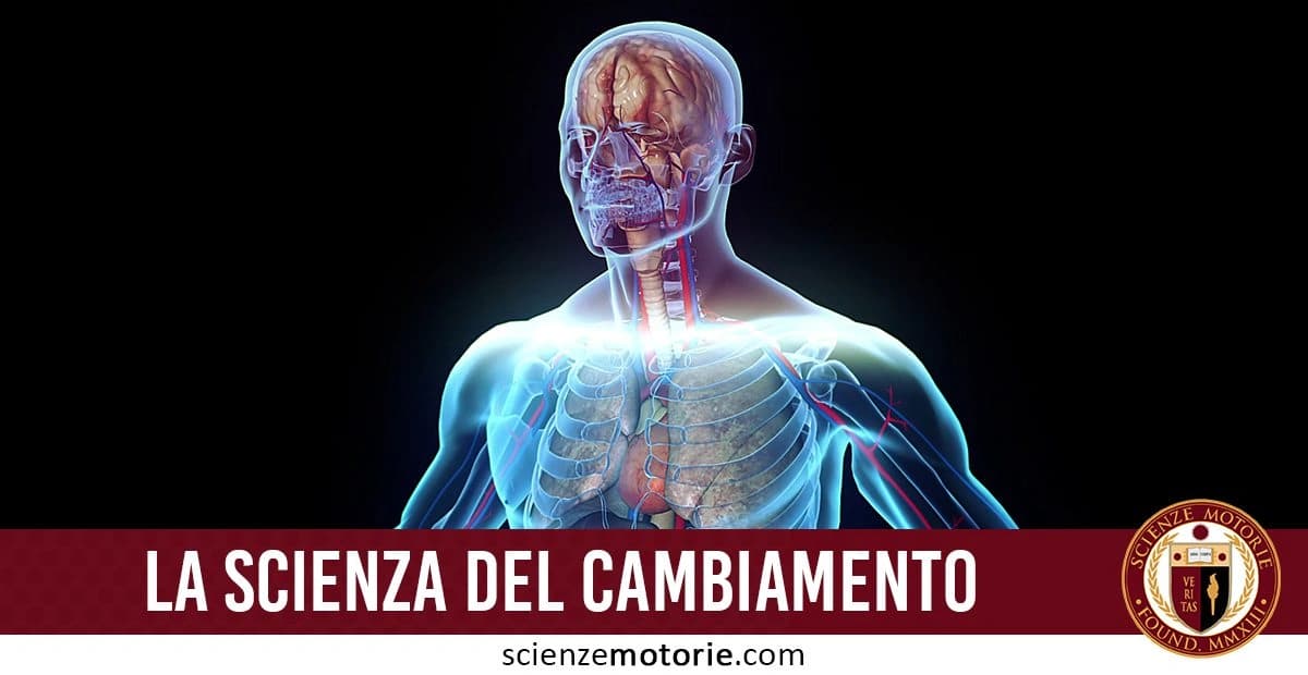 Illustrazione digitale traslucida del corpo umano, con dettagli evidenziati in blu chiaro e rosso. La rappresentazione mostra il cervello in primo piano e il sistema scheletrico traslucido. Il testo in basso recita "LA SCIENZA DEL CAMBIAMENTO", con il logo di ScienzeMotorie.com in basso a destra.