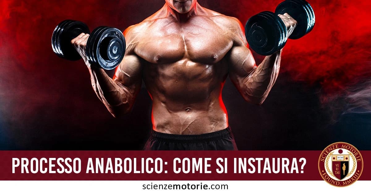 Uomo muscoloso a torso nudo che solleva manubri, con illuminazione rossa, e testo "Processo anabolico: come si instaura?" con logo di Scienze Motorie