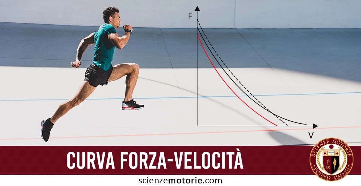 Un uomo che corre su una superficie liscia accanto a un grafico della Curva Forza-Velocità, con l'asse verticale etichettato come "F" (forza) e l'asse orizzontale etichettato come "V" (velocità), che mostra una curva discendente. in basso a destra appare il logo di ScienzeMotorie.com