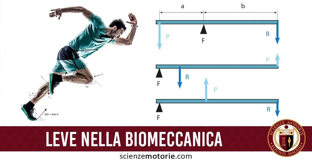 Illustrazione biomeccanica con corridore in movimento, misurazioni di forza e angolo corporeo, e diagrammi esplicativi delle leve biomeccaniche con punti di forza, potenza e resistenza. in basso appare la scritta Leve nella Biomeccanica accompagnata sulla destra dal logo di Scienze Motorie