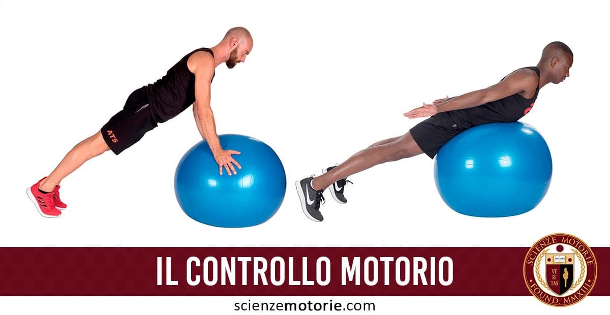 Due uomini che eseguono esercizi fisici con una Fitball blu. Uno è in posizione di plank con le mani sulla palla, l'altro è sdraiato sulla palla con il corpo disteso e le braccia lungo i fianchi. Il testo "IL CONTROLLO MOTORIO" appare in basso, accompagnato dal logo di Scienze Motorie