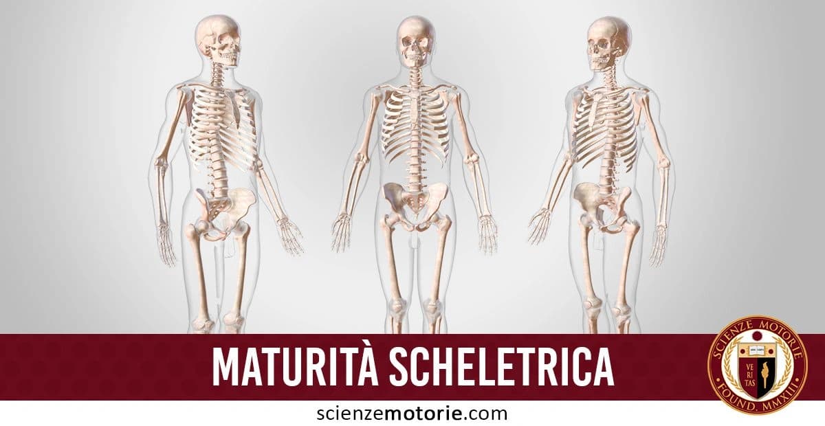 L'immagine mostra tre scheletri umani in posizione eretta. Il testo in nella parte bassa recita "Maturità Scheletrica" accompagnato dal logo di ScienzeMotorie.com