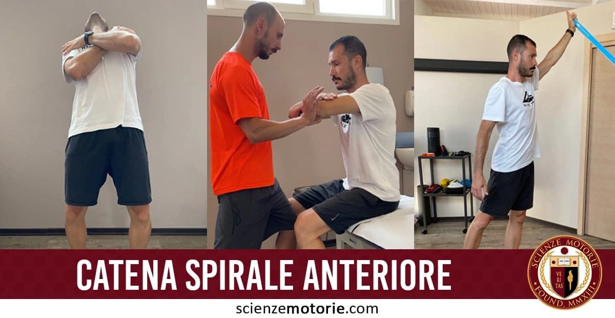 L'immagine è suddivisa in tre pannelli: nel primo pannello, un uomo in maglietta bianca e pantaloncini neri è in piedi con le braccia incrociate, eseguendo un esercizio. Nel secondo pannello, lo stesso uomo, in maglietta bianca, è seduto su un lettino e sta eseguendo un esercizio assistito da una persona in maglietta arancione. Nel terzo pannello, l'uomo in maglietta bianca esegue un esercizio utilizzando una fascia elastica azzurra, tirandola verso l'alto. Sotto l'immagine, c'è la scritta "Catena Spirale Anteriore" e il logo di Scienze Motorie