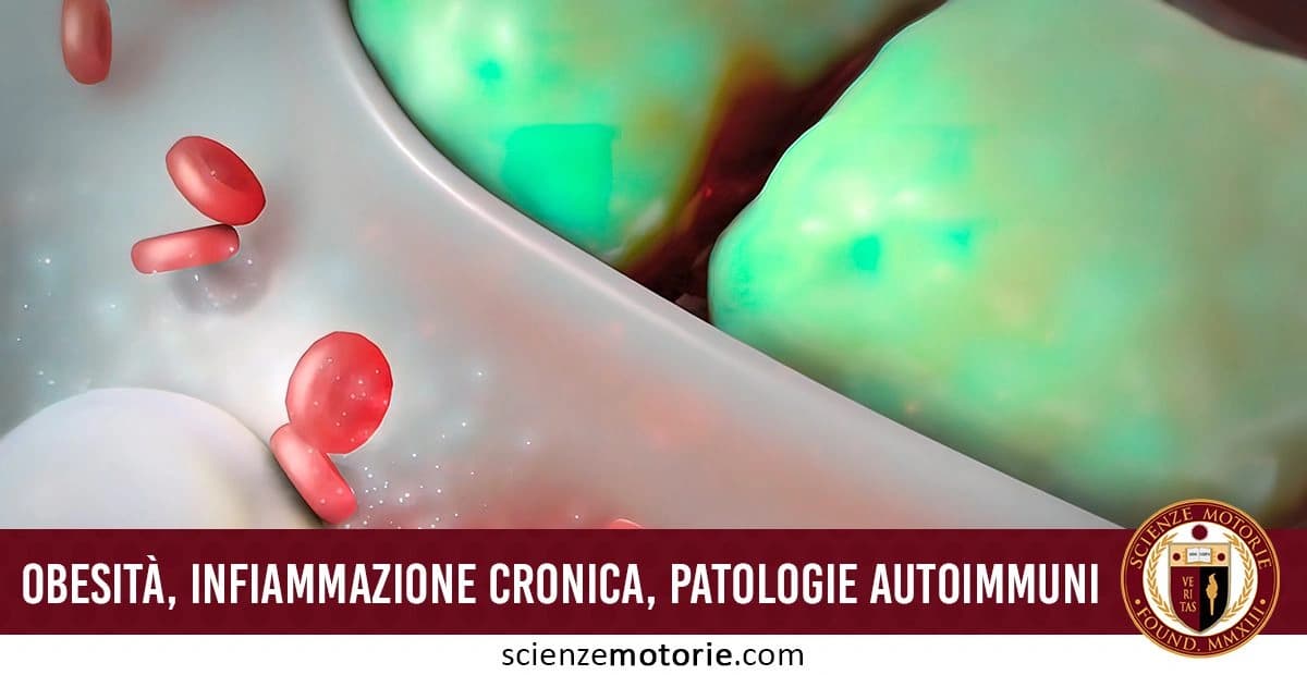 Rappresentazione grafica di globuli rossi in un contesto biologico o scientifico, con sfumature verdi e bianche sullo sfondo. Il testo in basso recita "OBESITÀ, INFIAMMAZIONE CRONICA, PATOLOGIE AUTOIMMUNI", accompagnato dal logo di Scienze Motorie