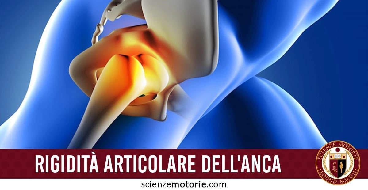 L'immagine mostra una rappresentazione medica stilizzata dell'anca umana. Si vede l'articolazione dell'anca in cui l'osso della coscia si unisce al bacino. La zona è evidenziata con colori che passano dal giallo all'arancione, probabilmente per indicare un'area di attenzione o dolore. Lo sfondo è di un blu scuro, che enfatizza il soggetto principale. l'immagine è accompagnata dalla scritta "Rigidità articolare dell’anca" e dal logo di ScienzeMotorie.com