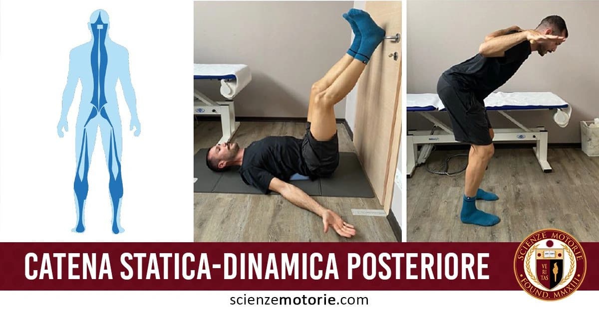 Tre sezioni: un diagramma anatomico del corpo umano evidenziato in blu, una persona esegue un esercizio a terra con le gambe sollevate contro una porta, e un'altra immagine della stessa persona in posizione accovacciata con le mani dietro la testa. le immagini sono accompagnate dalla scritta "Catena statica-dinamica posteriore" e dal logo di ScienzeMotorie.com