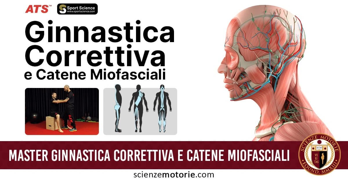 Poster promozionale per il master in "Ginnastica Correttiva e Catene Miofasciali" con immagini di esercizi fisici, sagome umane e un'illustrazione anatomica del busto umano evidenziando muscoli e catene miofasciali. Il logo di Istituto ATS e SportScience.com sono in alto mentre il logo di ScienzeMotorie.com è in basso e accompagna la scritta "MASTER GINNASTICA CORRETTIVA E CATENE MIOFASCIALI" in una fascia rossa