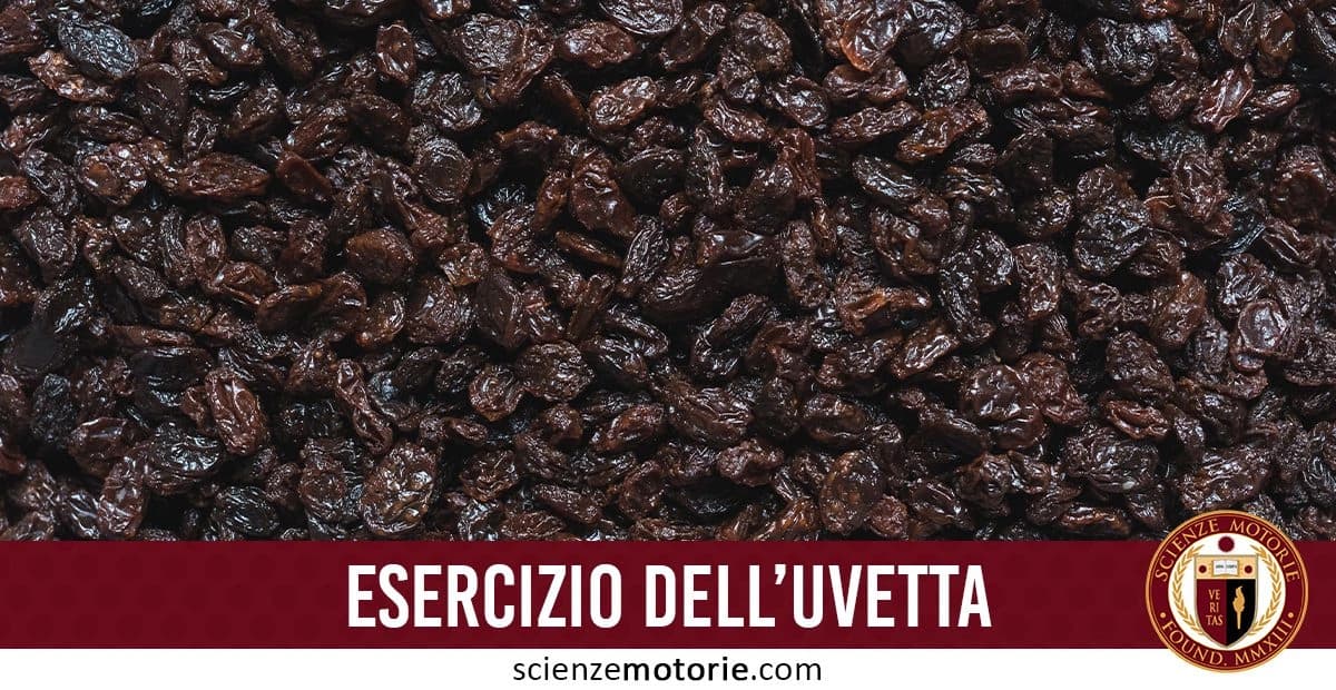 Primo piano di una grande quantità di uvetta con una fascia rossa in basso che riporta la scritta "ESERCIZIO DELL'UVETTA" e il logo Scienze Motorie.com
