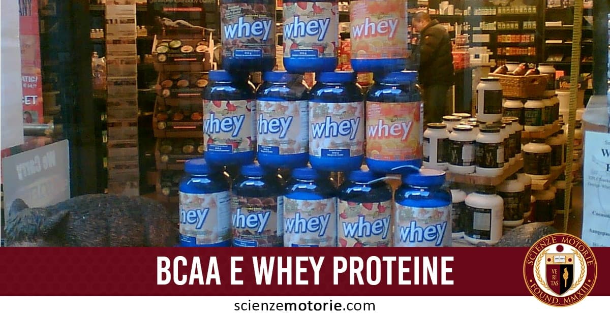 Vetrina di negozio con contenitori di proteine in polvere "whey" impilati, fascia rossa con scritta "BCAA E WHEY PROTEINE" e logo Scienze Motorie.