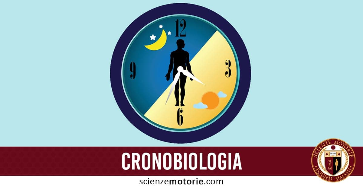 Orologio diviso tra giorno e notte con figura umana centrale, simbolo dei ritmi circadiani e della cronobiologia.