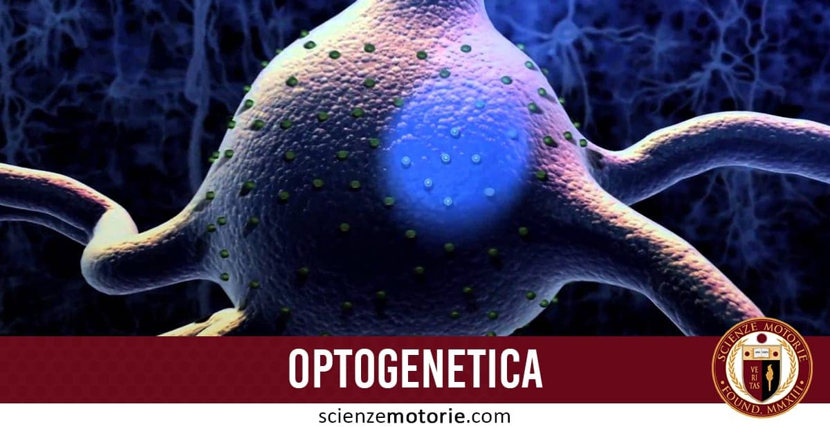Illustrazione artistica di un neurone con particelle sulla superficie cellulare, legata al concetto di optogenetica, con testo “OPTOGENETICA” e sito scienzemotorie.com.