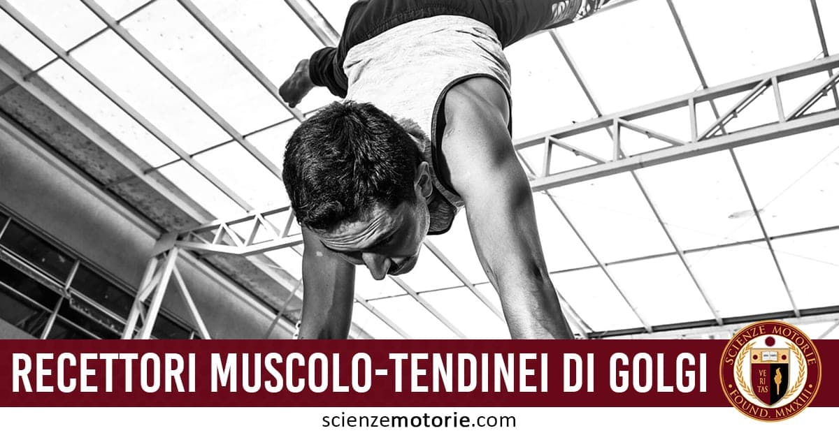 Persona in posizione capovolta sostenuta sulle mani durante un’acrobazia, con struttura metallica sullo sfondo. In basso la scritta “RECETTORI MUSCOLO-TENDINEI DI GOLGI” e il logo Scienze Motorie.