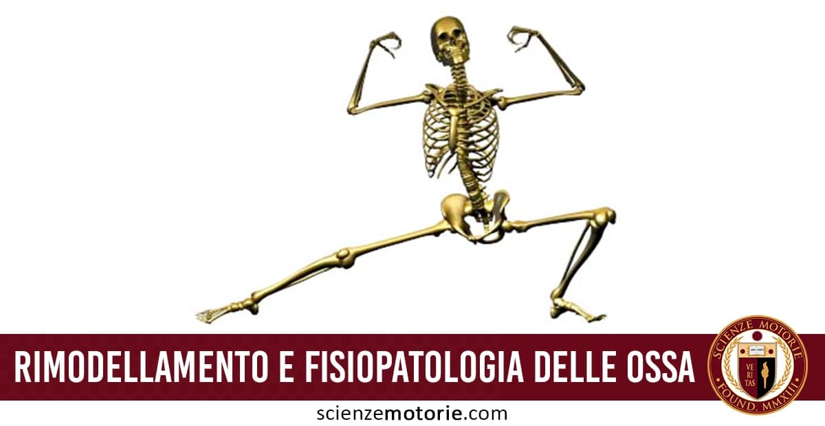 Scheletro umano in posa dinamica che simula uno stretching, con fascia rossa e testo "Rimodellamento e fisiopatologia delle ossa".