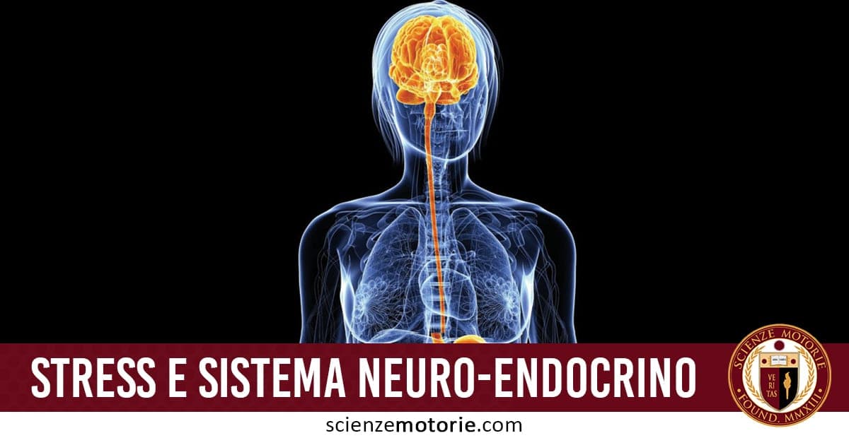 Illustrazione del corpo umano con cervello evidenziato in arancione e scritta "Stress e sistema neuro-endocrino", logo Scienze Motorie visibile a destra.