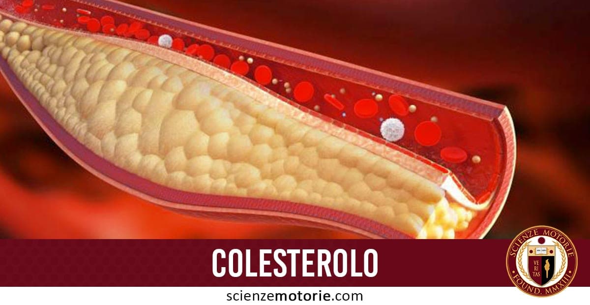 Rappresentazione di un vaso sanguigno con placca gialla di colesterolo che restringe il flusso sanguigno, con la scritta “COLESTEROLO” e il logo scienzemotorie.com.