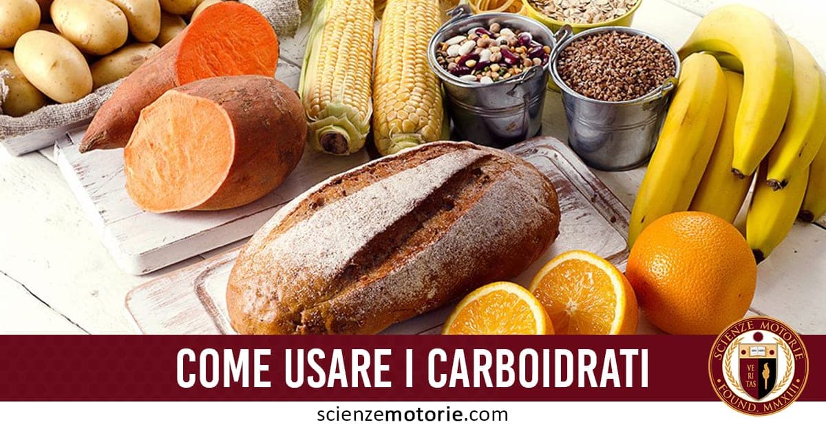 Selezione di alimenti ricchi di carboidrati con logo di scienzemotorie.com in basso a destra.