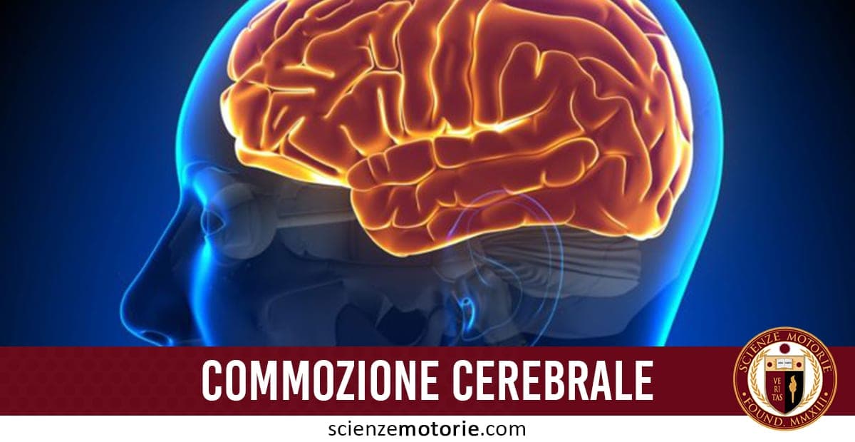Illustrazione anatomica del cervello umano all’interno del cranio con colori luminosi, con testo "Commozione Cerebrale" e riferimento al sito scienzemotorie.com.