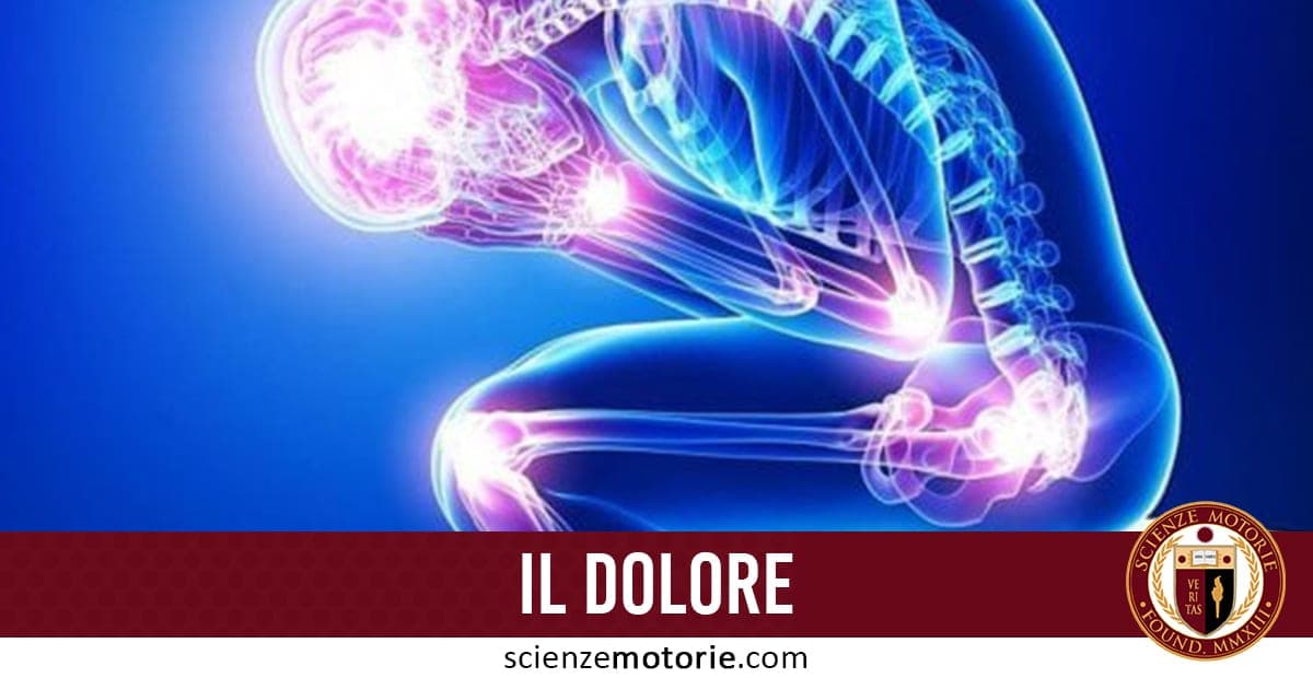 Corpo umano trasparente in posizione rannicchiata con articolazioni evidenziate, testo "IL DOLORE" e logo ScienzeMotorie.com.