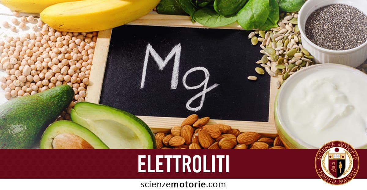 L’immagine mostra una selezione di alimenti ricchi di magnesio disposti attorno a una lavagna con il simbolo "Mg" al centro. Tra i cibi: banane, avocado, mandorle, semi, spinaci, yogurt e ceci, utili per equilibrio elettrolitico, muscoli e sistema nervoso. In basso, barra rossa con la scritta "ELETTROLITI" e logo scienzemotorie.com.