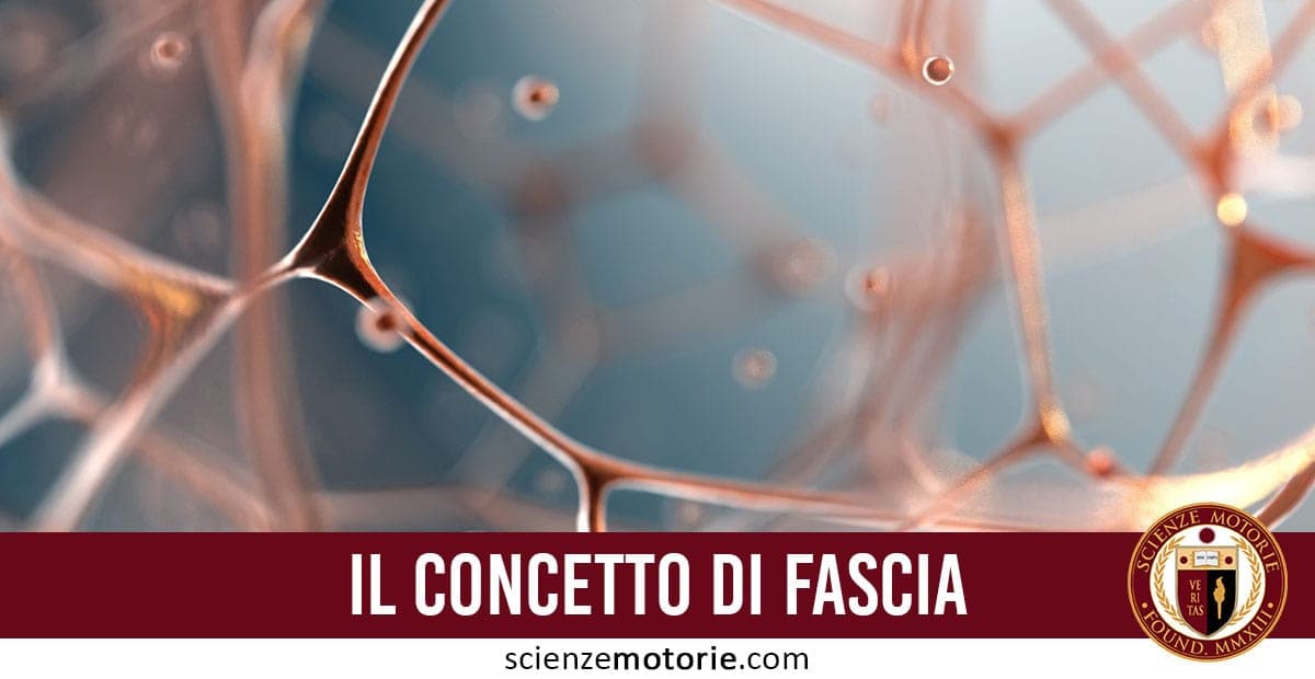 L’immagine mostra una rete stilizzata che rappresenta la fascia, il tessuto connettivo del corpo umano, essenziale per supporto, movimento e trasmissione delle forze. In basso, un banner rosso con il testo “IL CONCETTO DI FASCIA” e il logo di Scienze Motorie indica un contenuto educativo su anatomia e biomeccanica.