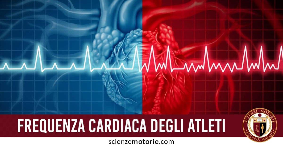 Diagramma del cuore con tracciati ECG blu e rossi che illustrano la frequenza cardiaca degli atleti, con logo ScienzeMotorie.com