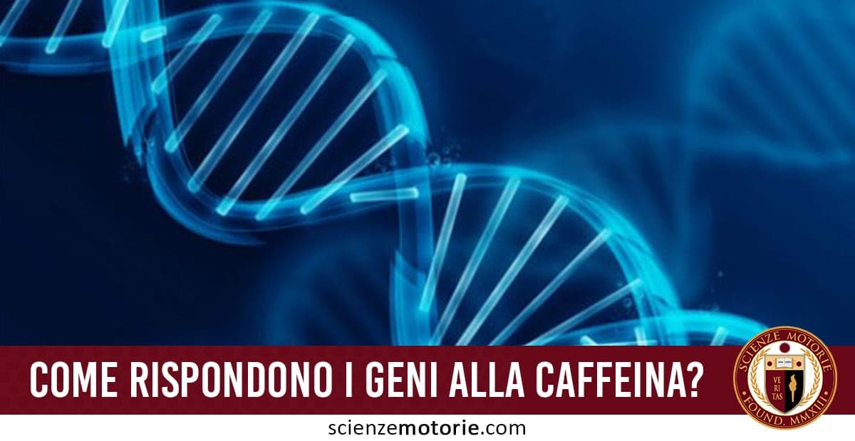 Rappresentazione grafica della doppia elica di DNA su sfondo blu con testo “Come rispondono i geni alla caffeina?” e logo ScienzeMotorie.com.