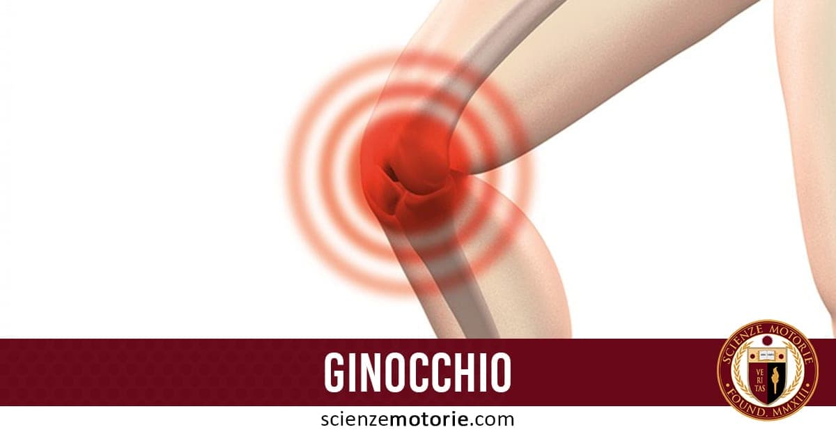 Ginocchio evidenziato in rosso con cerchi concentrici a indicare dolore o infiammazione, barra con scritta "GINOCCHIO" e logo "scienzemotorie.com".