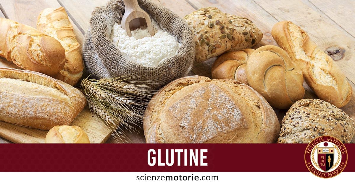 Varietà di prodotti da forno con diversi tipi di pane e panini, sacchetto di farina con cucchiaio di legno, spighe di grano, e striscia bordeaux con scritta “GLUTINE” e logo Scienze Motorie.