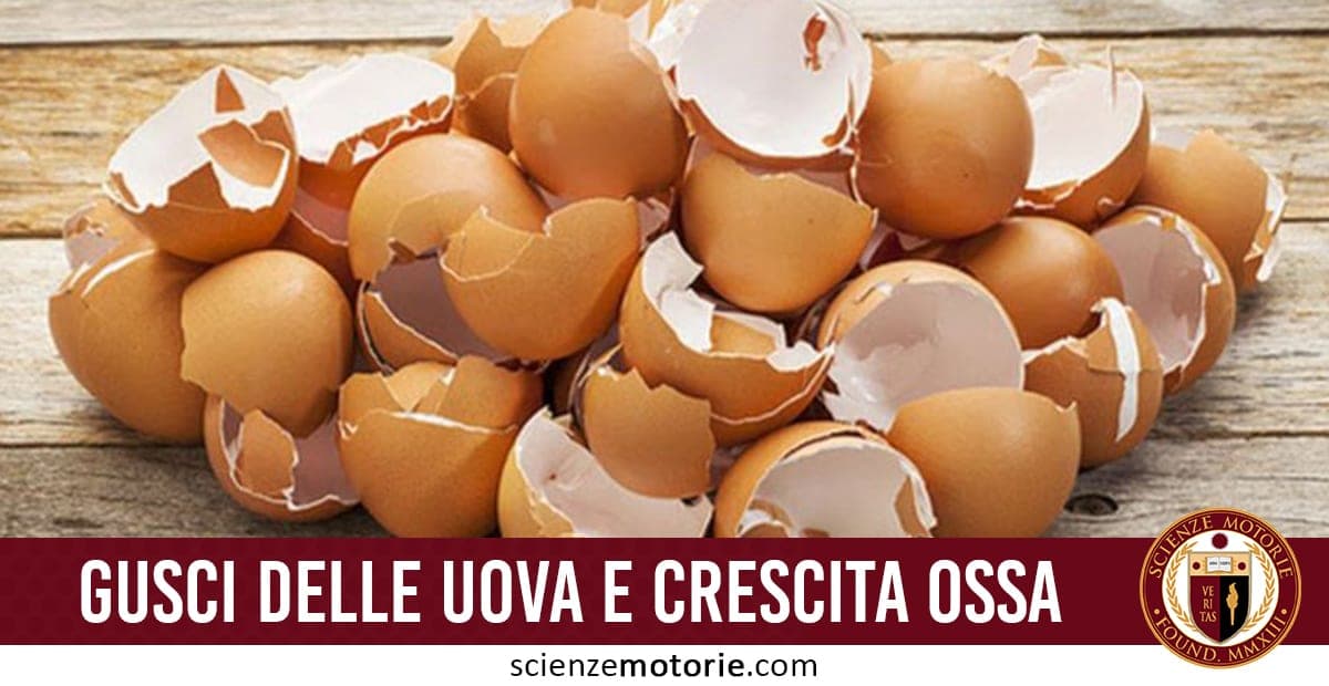Gruppo di gusci d’uovo rotti su superficie di legno con barra rossa contenente testo “GUSCI DELLE UOVA E CRESCITA OSSA” e logo di scienzemotorie.com.