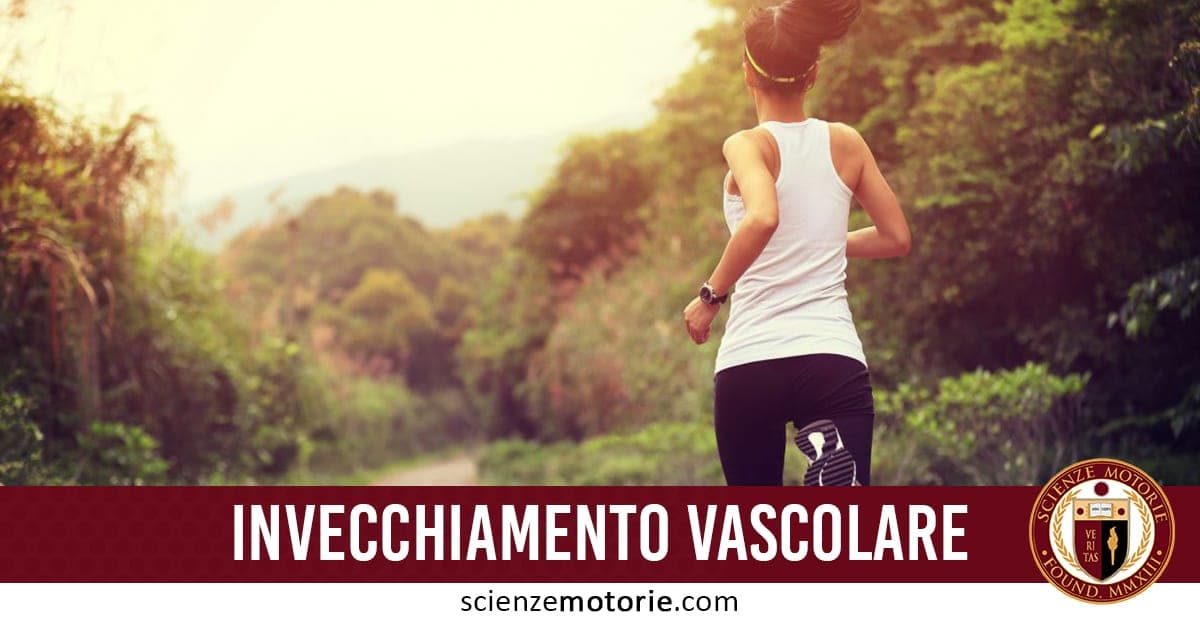L’immagine mostra una persona di spalle che corre su un sentiero boschivo, indossando canotta bianca, leggings scuri e un orologio sportivo. I raggi di sole filtrano tra gli alberi, creando un’atmosfera tranquilla ideale per l’attività fisica e la salute cardiovascolare. In basso, una fascia rossa riporta il testo "INVECCHIAMENTO VASCOLARE" con il logo di ScienzeMotorie.com