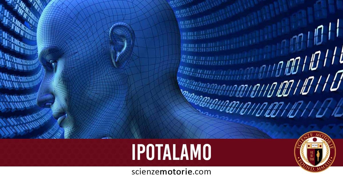 Immagine di una testa stilizzata con reticolato blu a simboleggiare le connessioni neurali, su sfondo di numeri binari curvi. In primo piano la scritta "IPOTALAMO" su barra rossa. Logo Scienze Motorie a destra.