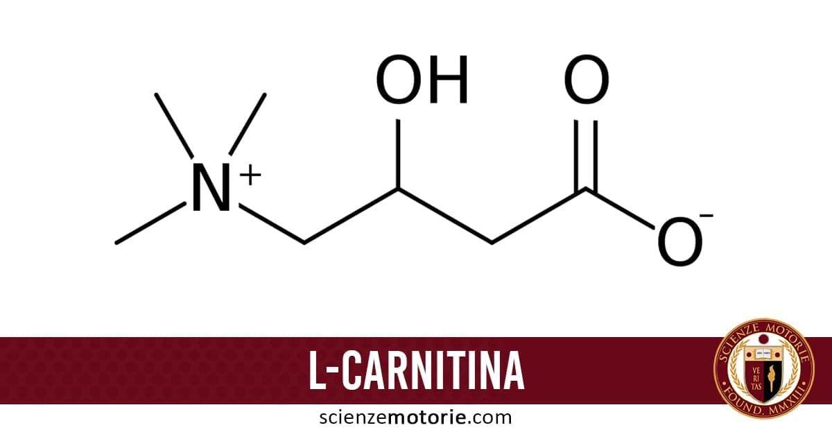 Struttura chimica della L-carnitina con scritta "L-CARNITINA" su sfondo rosso e logo ScienzeMotorie