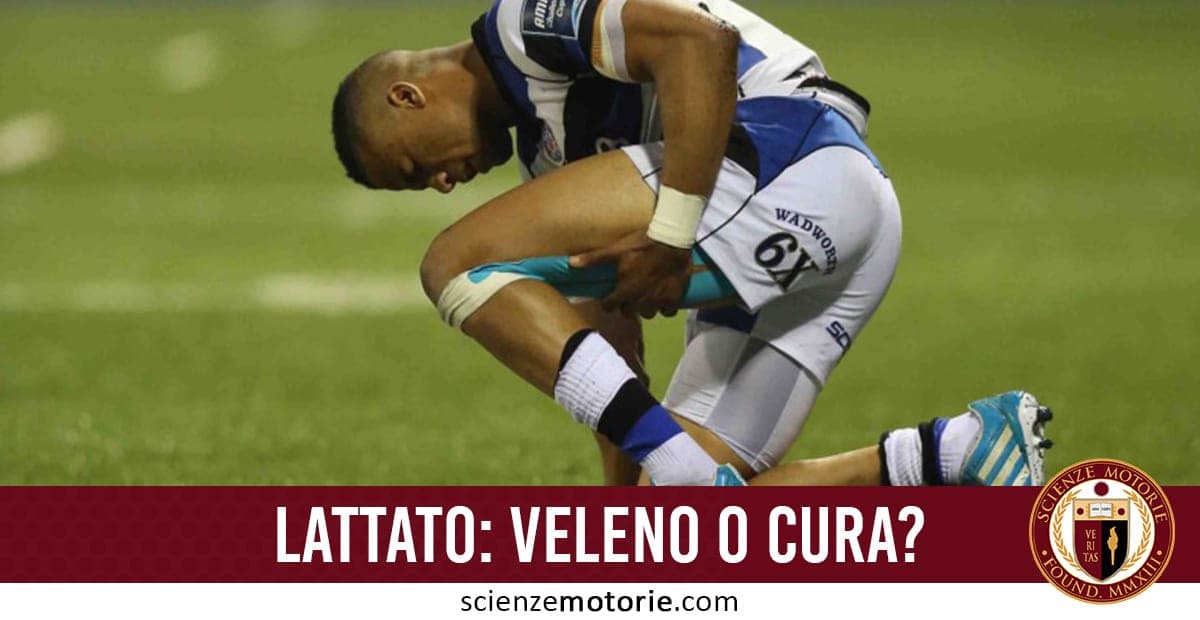 Giocatore di rugby inginocchiato sul campo in divisa blu e bianca, si tiene il ginocchio con espressione di fatica; in basso il testo "Lattato: veleno o cura?" con il logo Scienze Motorie.