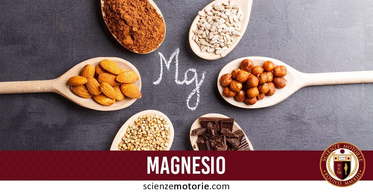 Cucchiai di legno con alimenti ricchi di magnesio come mandorle, nocciole, semi di girasole, cacao, cioccolato fondente e grano saraceno; al centro la scritta "Mg" e in basso “MAGNESIO” con logo Scienze Motorie.