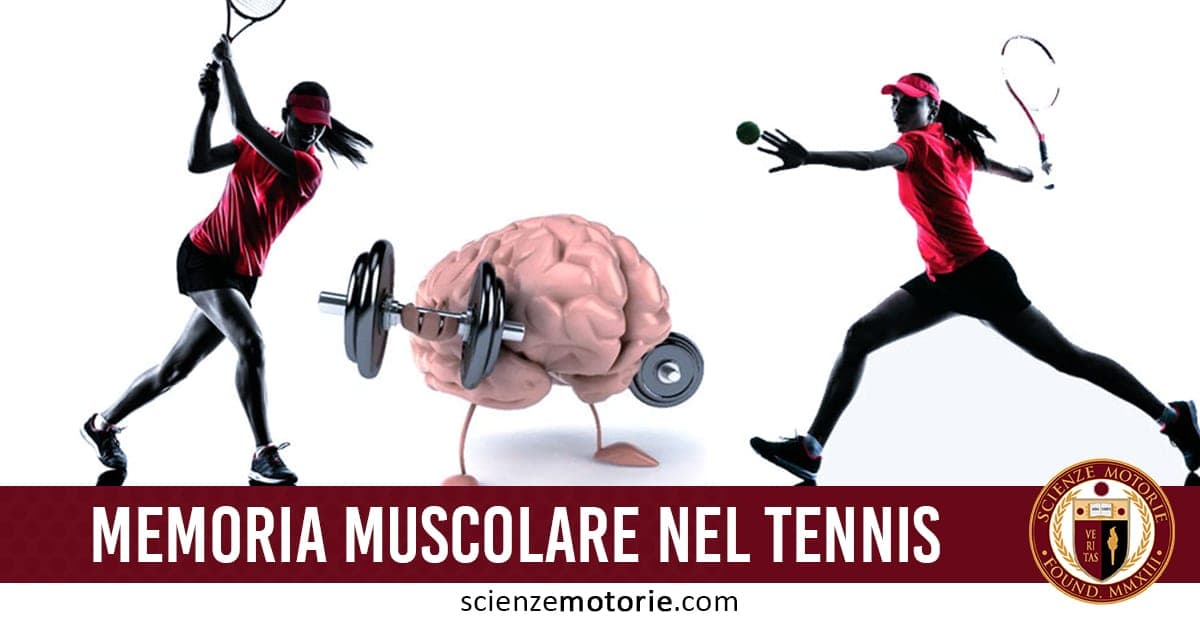 Due tenniste in azione con un cervello stilizzato al centro che solleva pesi; testo “MEMORIA MUSCOLARE NEL TENNIS” e logo Scienze Motorie.