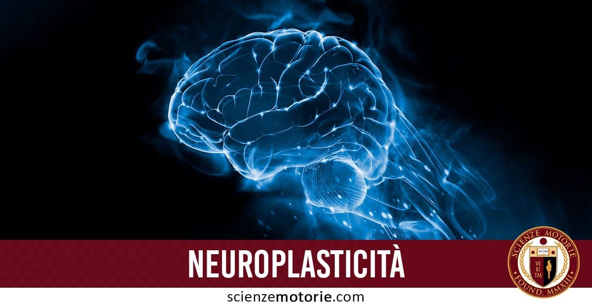 Rappresentazione digitale di un cervello umano blu chiaro su sfondo scuro con scritta “Neuroplasticità”.